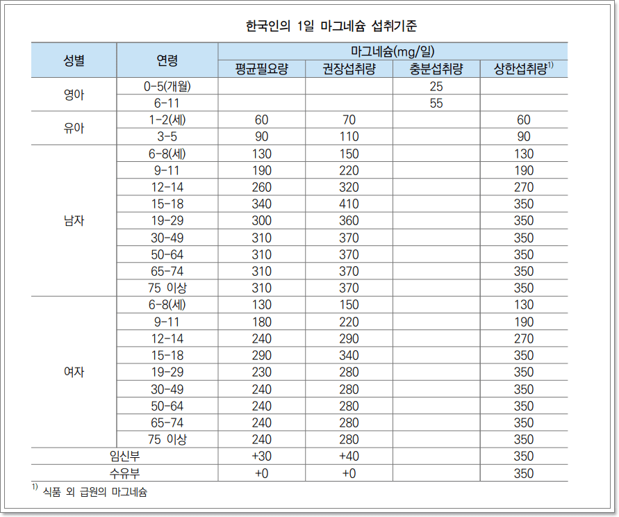 마그네슘 부작용 효과 하루 권장량 많은 음식
