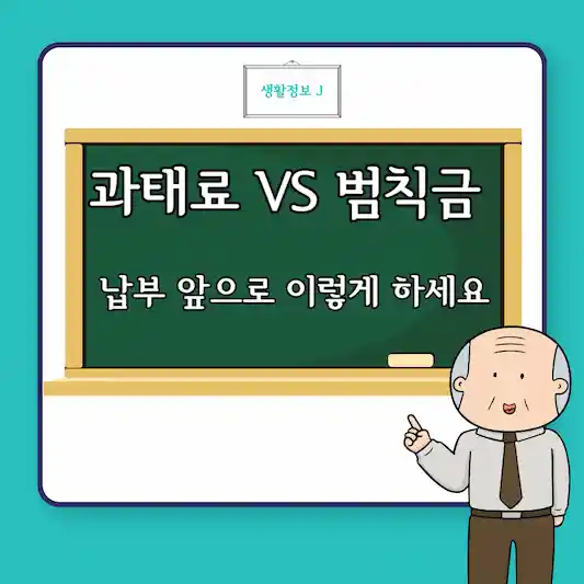 교통위반 과태료 범칙금 차이