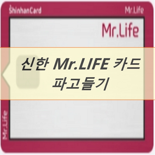  신한카드 MR.LIFE(미스터 라이프)카드 파고들기