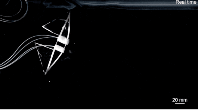  쥐가오리 영감...부드럽고 빠르게 수영하는 로봇 VIDEO: A butterfly-stroke-like soft robotic swimmer that is fast and efficient