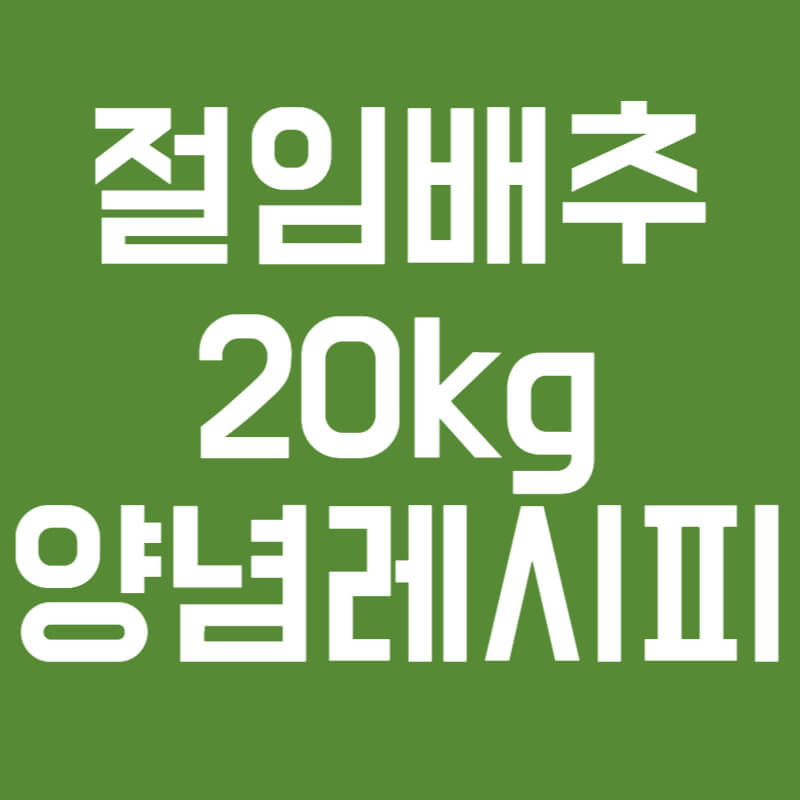 절임배추 20kg 배추 가격 양념 레시피