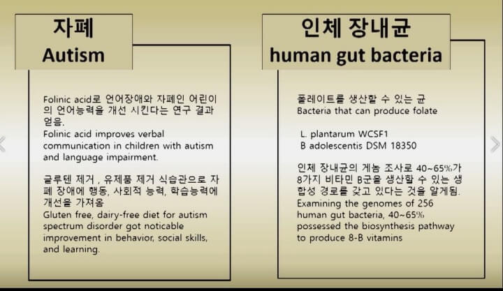 폴리닉 에시드와 자폐 연관성&#44; 장내세균과 엽산