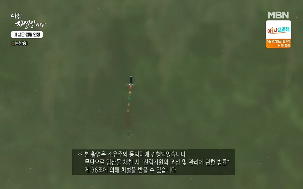 나는 자연인이다.E502.220519p-NEXT.mp4_20220519_182346.889.jpg