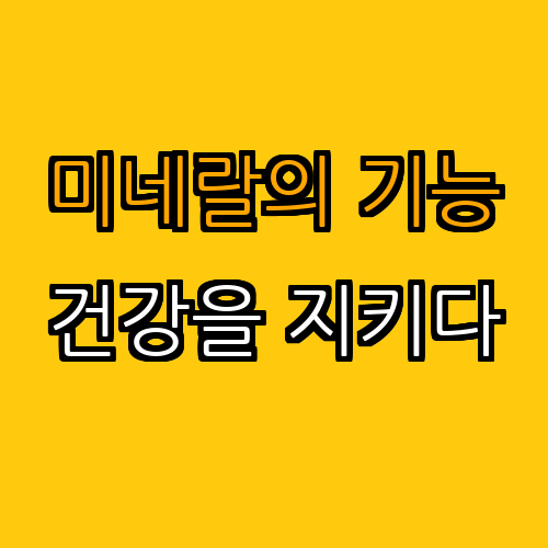 2. 미네랄의 중요성과 기능