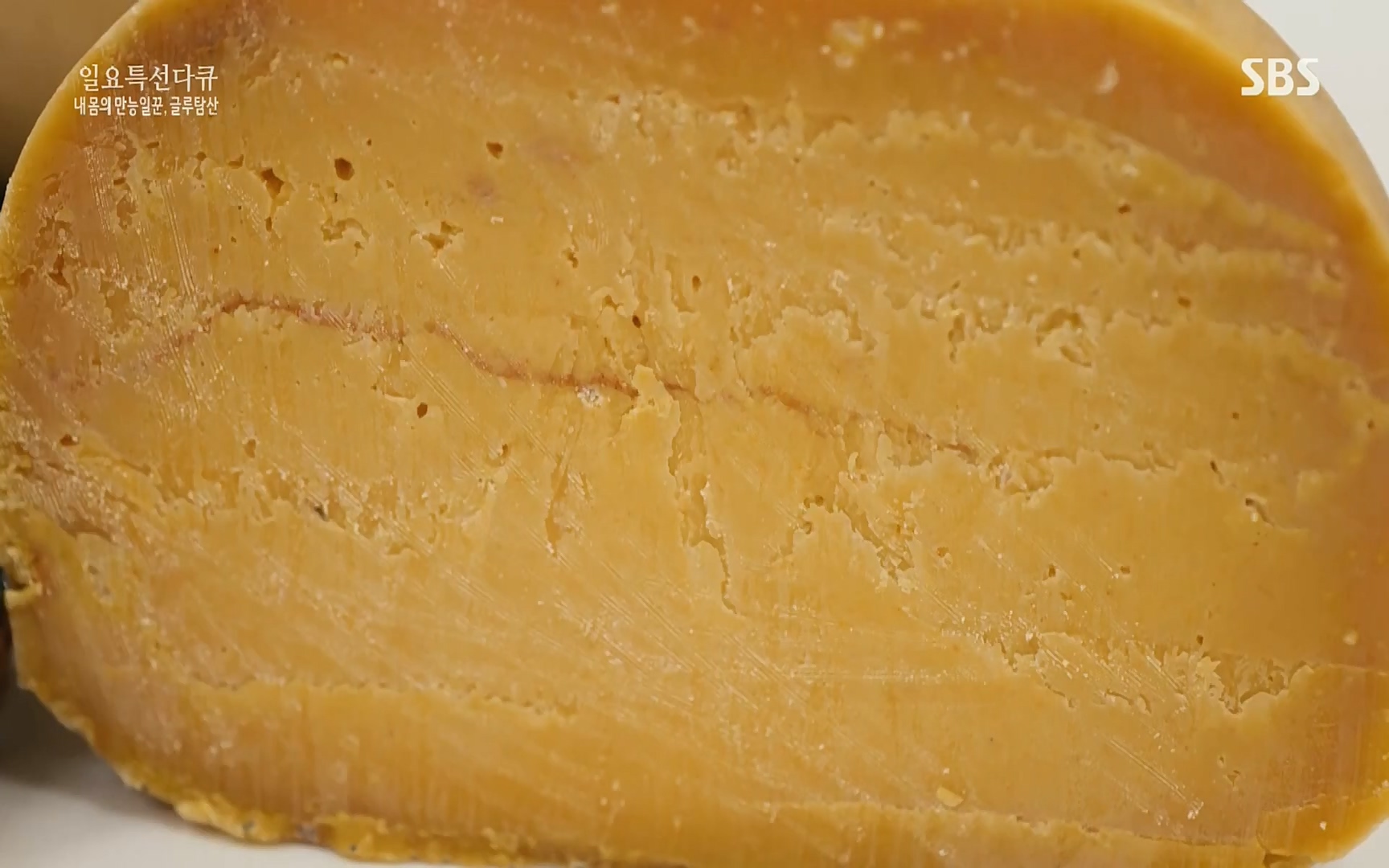 일요 특선 다큐멘터리.E283.220717p.H264-F1RST.mp4_20220718_202856.008.jpg