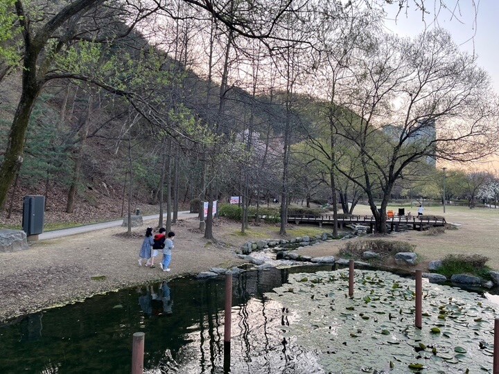 용인-구갈레스피아-연못-사진