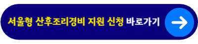 서울형 산후조리경비 지원 신청&nbsp;바로가기
