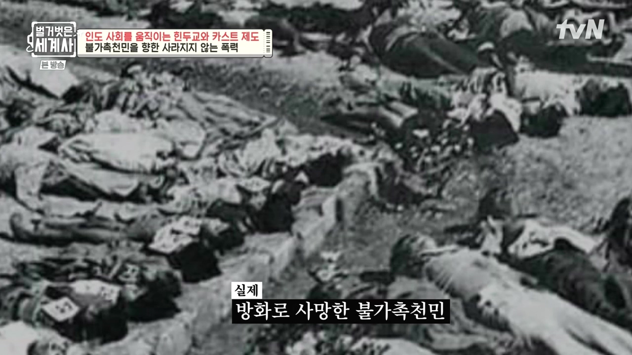 벌거벗은 세계사.E115.230906p-NEXT.mp4_20240406_175801.220.jpg