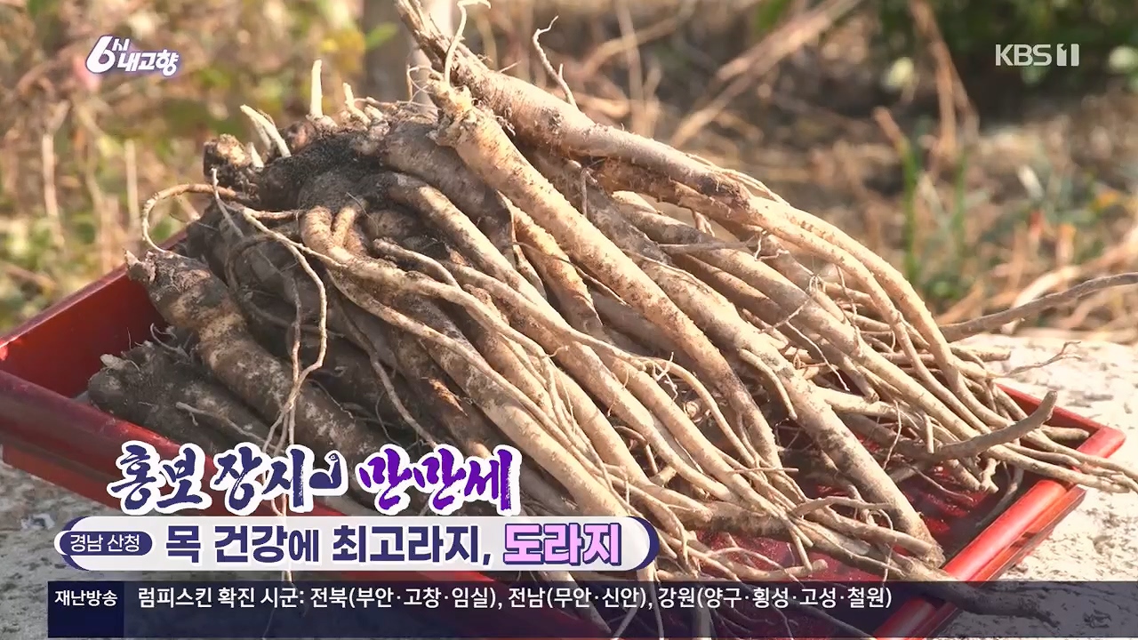6시 내고향.E7922.231129p.H264-F1RST.mp4_20231129_200709.060.jpg