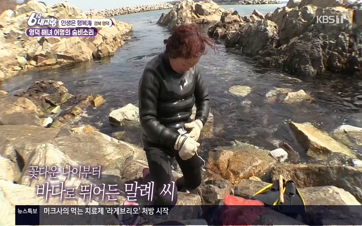 6시 내고향.E7498.220329p.H264-F1RST.mp4_20220329_184057.462.jpg