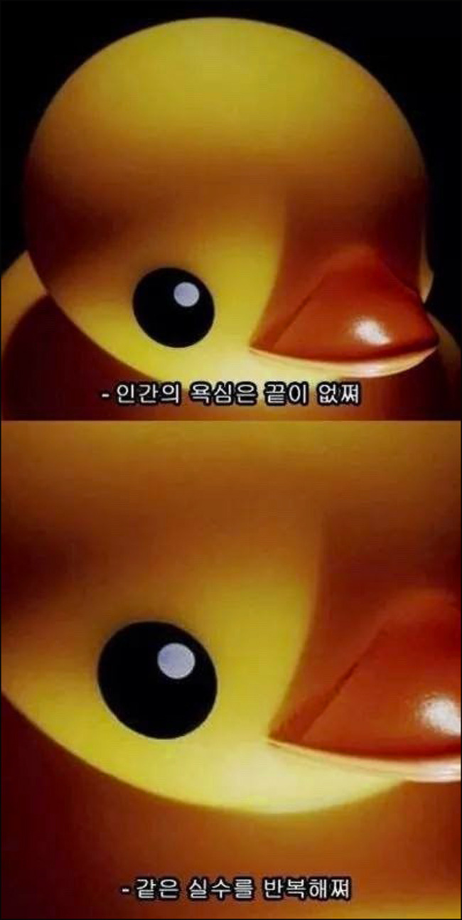  자산과 자신감은 한끗 차이지만-