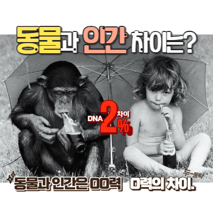 침팬지와 어린아이가 우산을 쓰고 나란히 앉아 콜라를 마시는 그림으로 DNA는 2%차이 행동에는 거의 차이가 없는데 상상력과 협력으로 인해 전혀 다른 삶을 사는 것을 표현한 섬네일