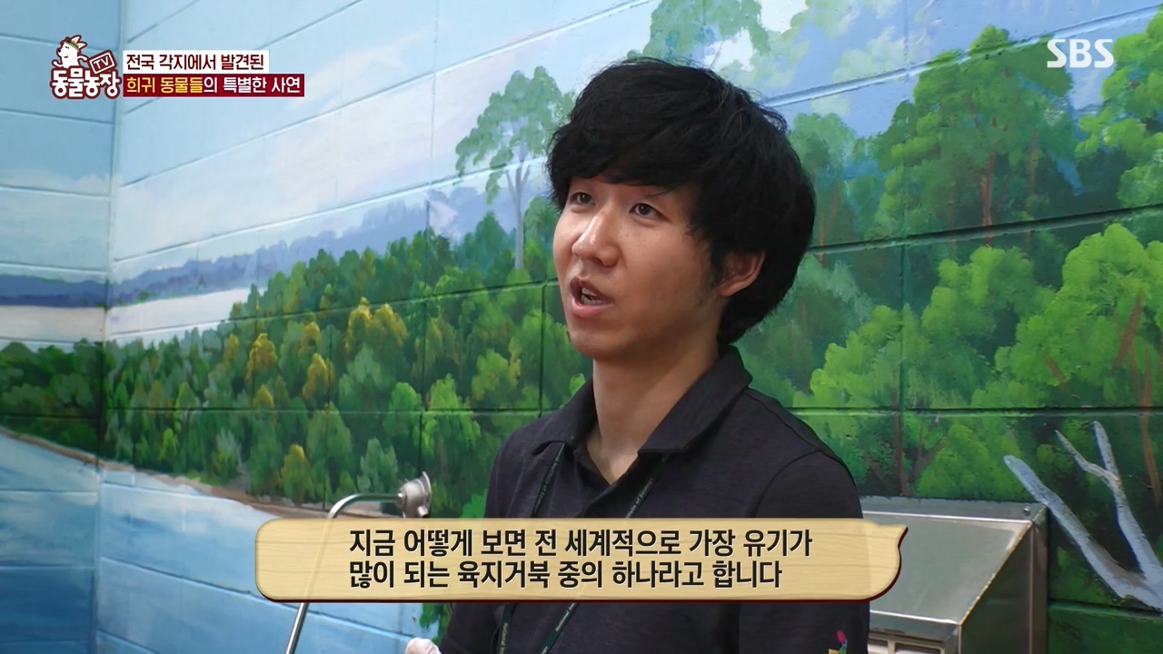 TV 동물농장.E1156.240129p-NEXT.mp4_20240128_191738.747.jpg
