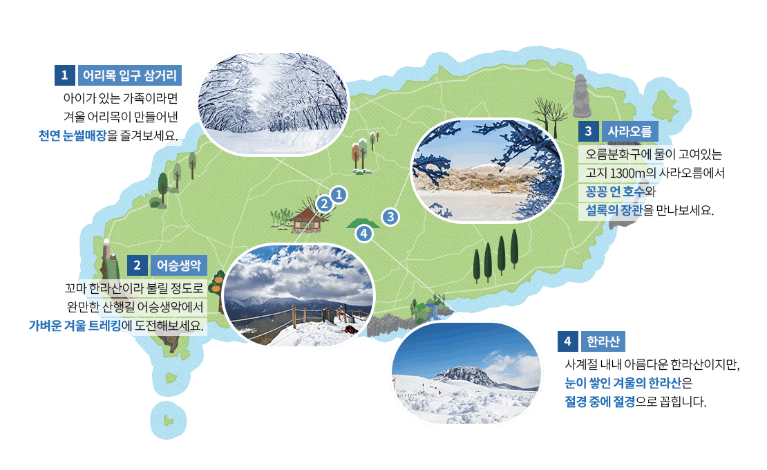 2025년 1월 제주 항공권 싸게 가는법 특가 행사