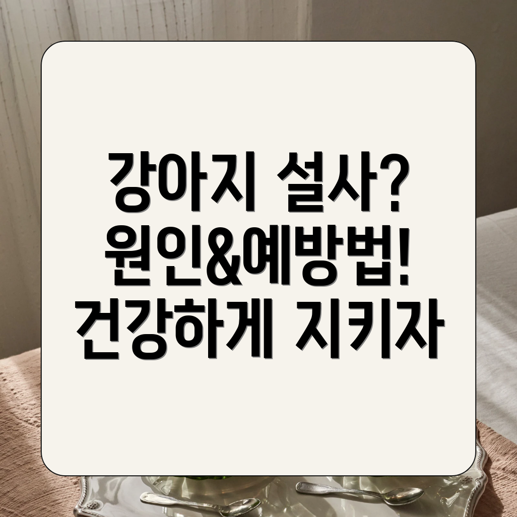 강아지 설사