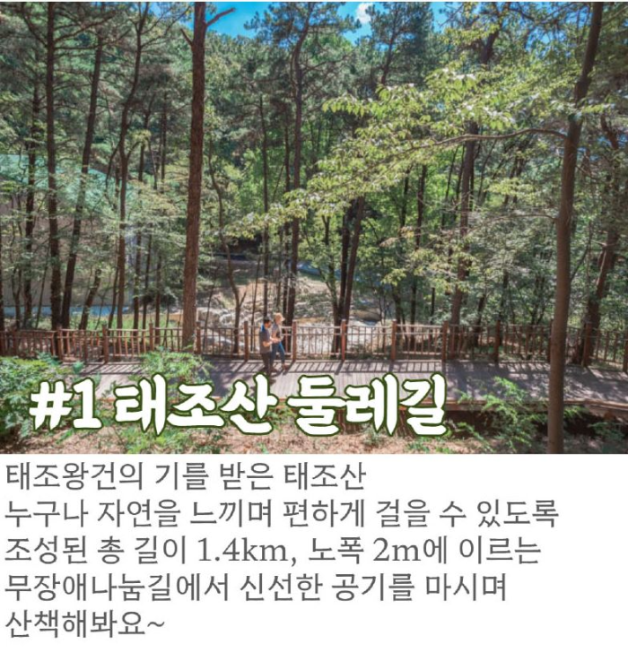 천안시티투어3