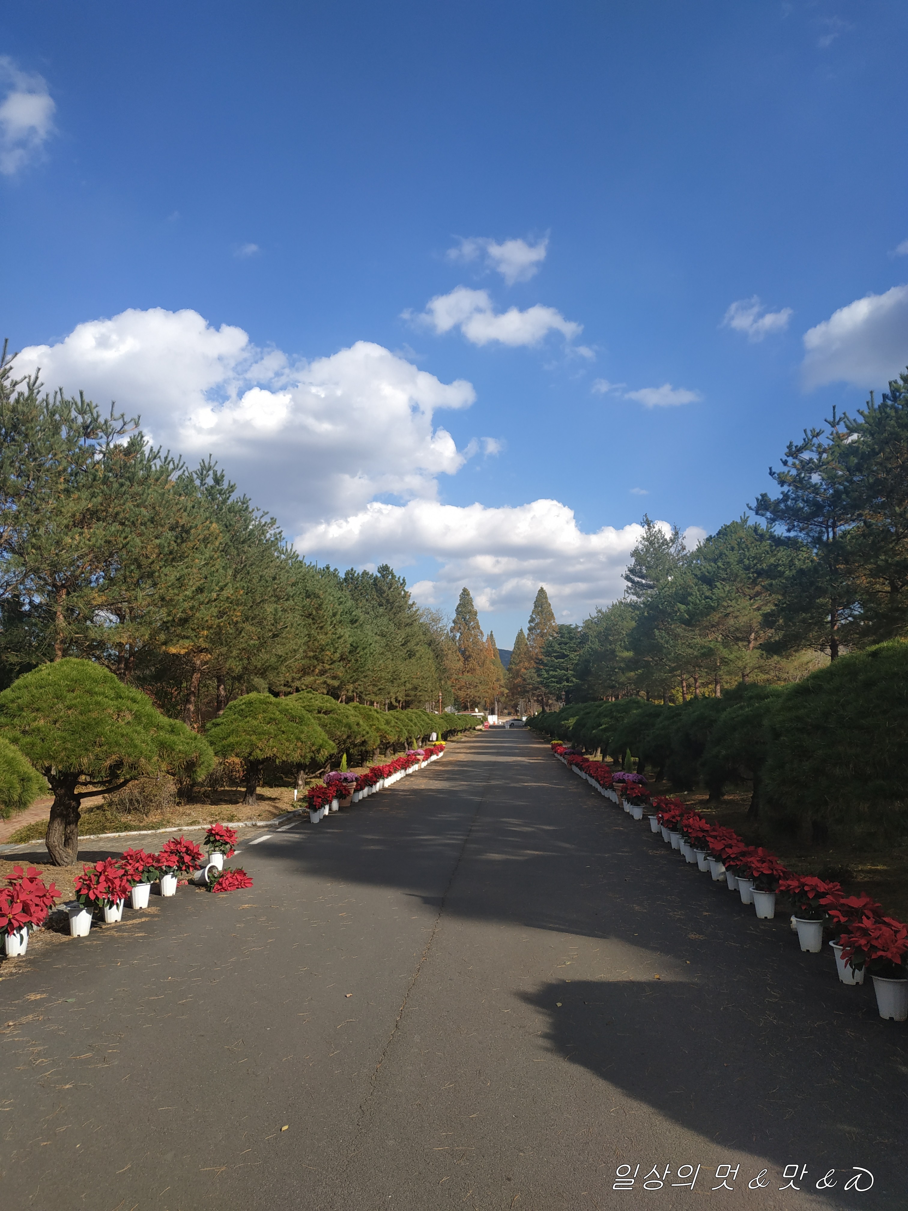 산림환경연구원 메인