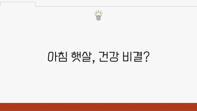 아침 햇살의 효과: 건강을 위한 아침 산책의 중요성