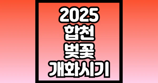 2025-합천-벚꽃-개화시기