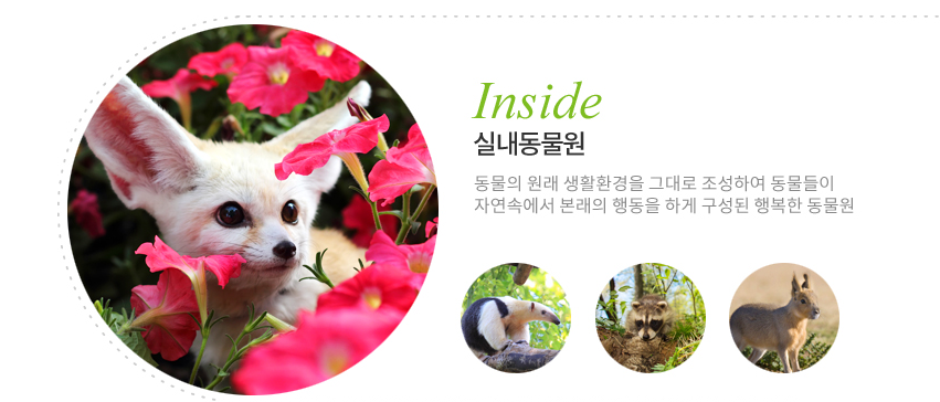 실내동물원