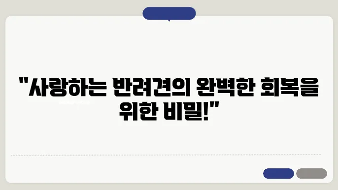 수술 후 강아지의 마음과 회복기를 위한 팁