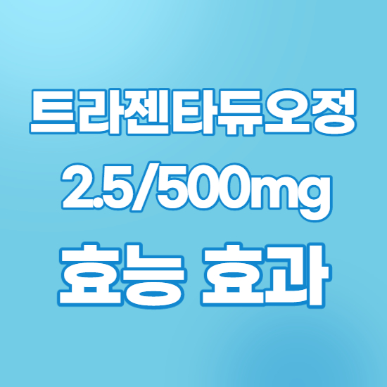  트라젠타듀오정2.5/500mg 효과, 효능 제대로 알고 복용하자
