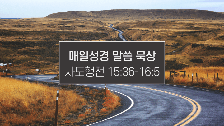 썸네일-산-사이의-도로