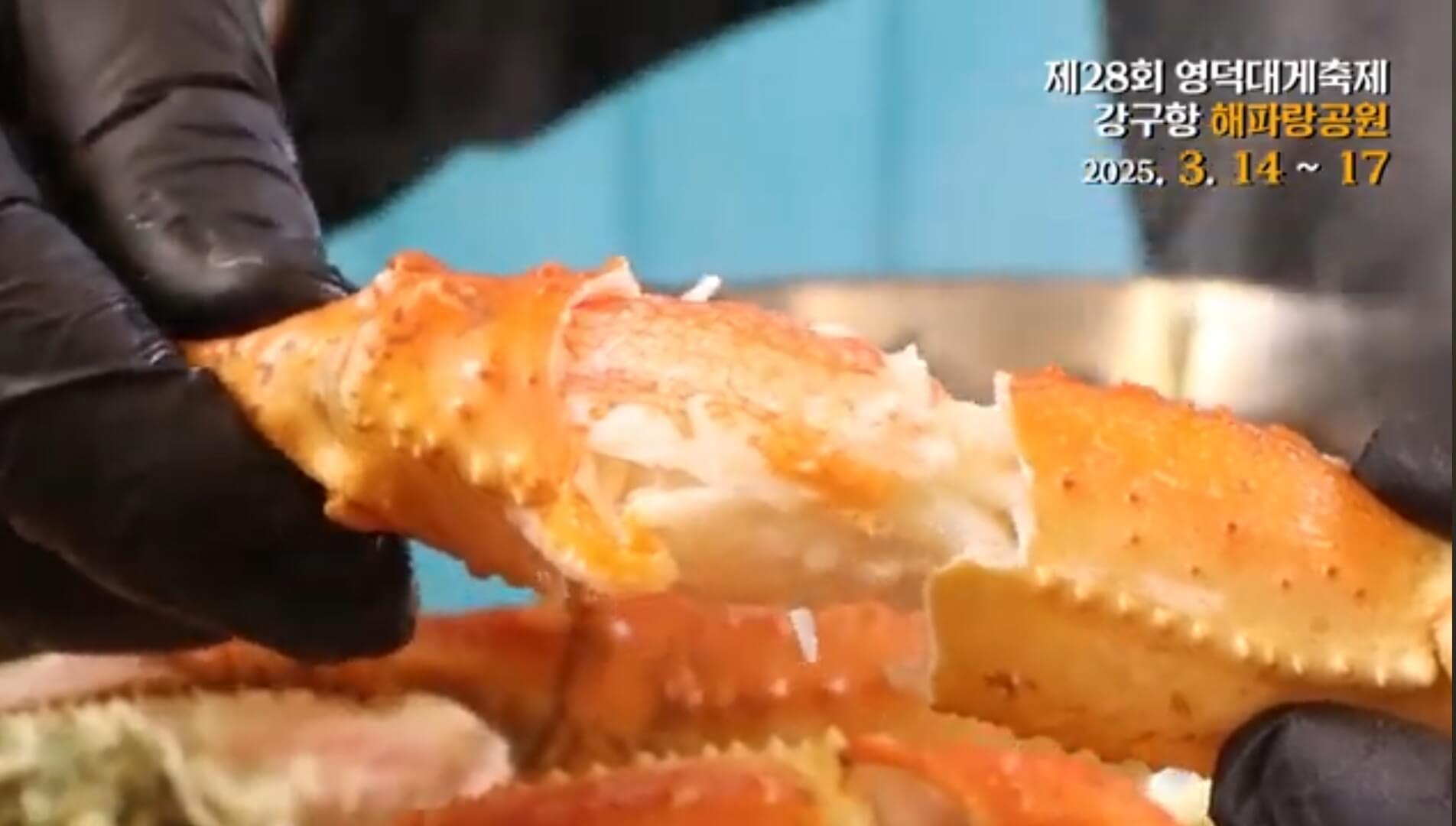 2025년 영덕대게축제 대게의 향연에 빠져보세요!