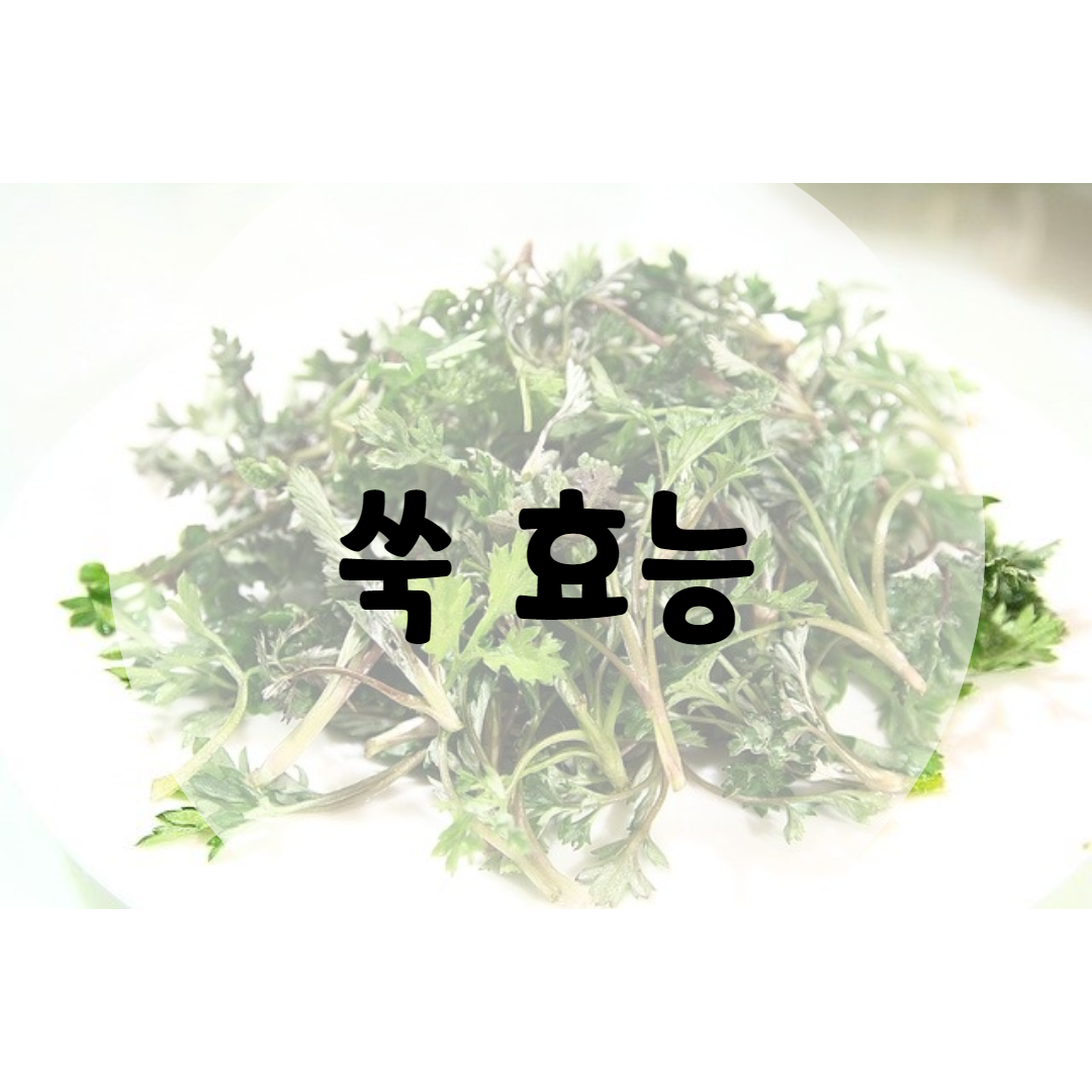  쑥 효능 몸을 따뜻하게 해요