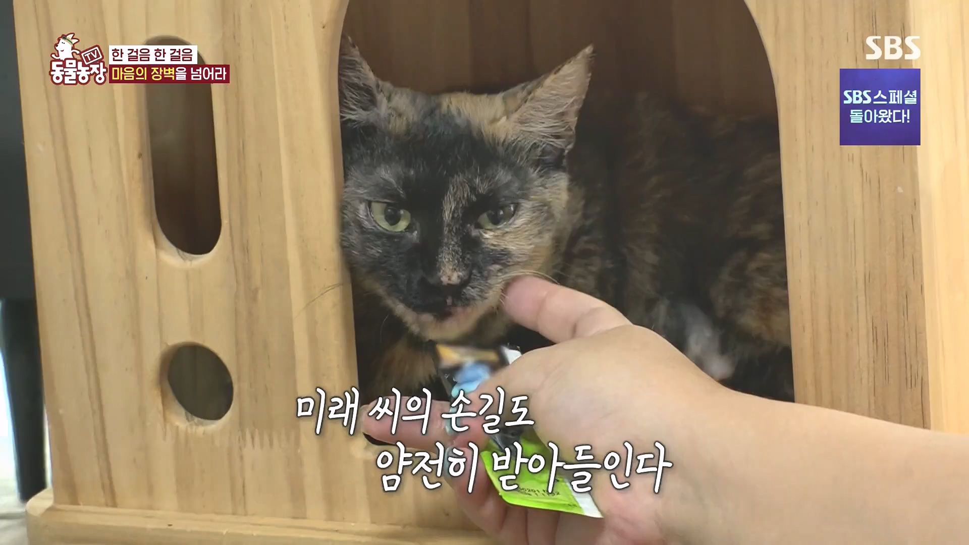 TV 동물농장.E1136.230903p.H264-F1RST.mp4_20230903_180402.732.jpg