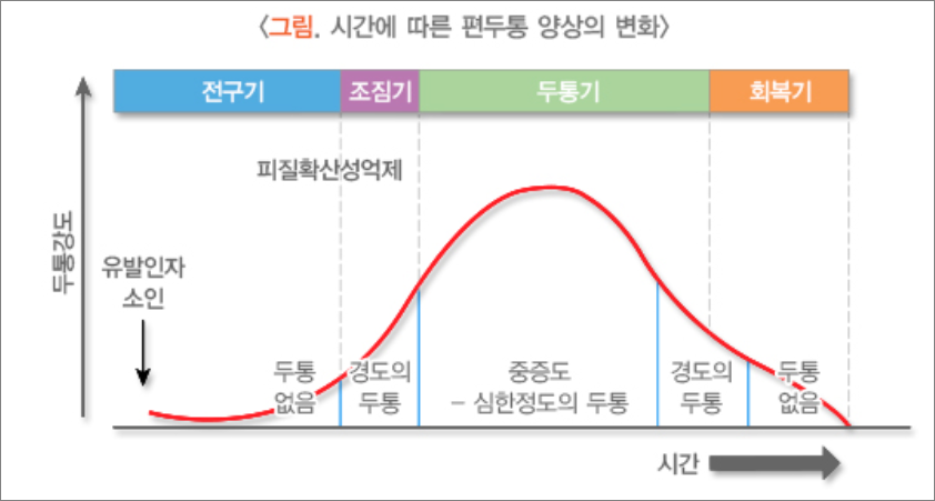 편두통 양상 변화