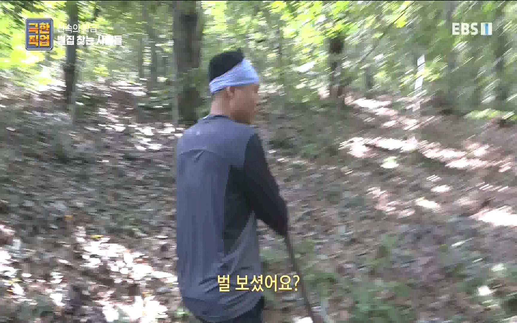 벌집 찾는 사람들.mp4_20221006_212349.632.jpg