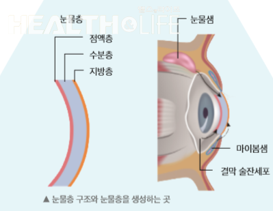 눈에 좋은 영양제