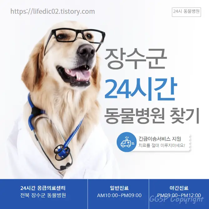  장수군 24시간 동물병원 찾기 근처 야간 일요일 강아지 병원 6곳