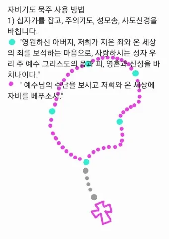 천주교 하느님 자비의 5단 기도 자비의 시간은_7