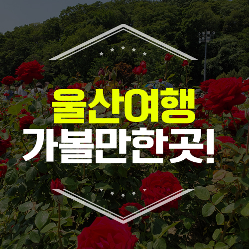  [울산 가볼만한 곳] 울산 대공원, 장미꽃 축제, 신선도원몰 더파티, 몽돌해수욕장!