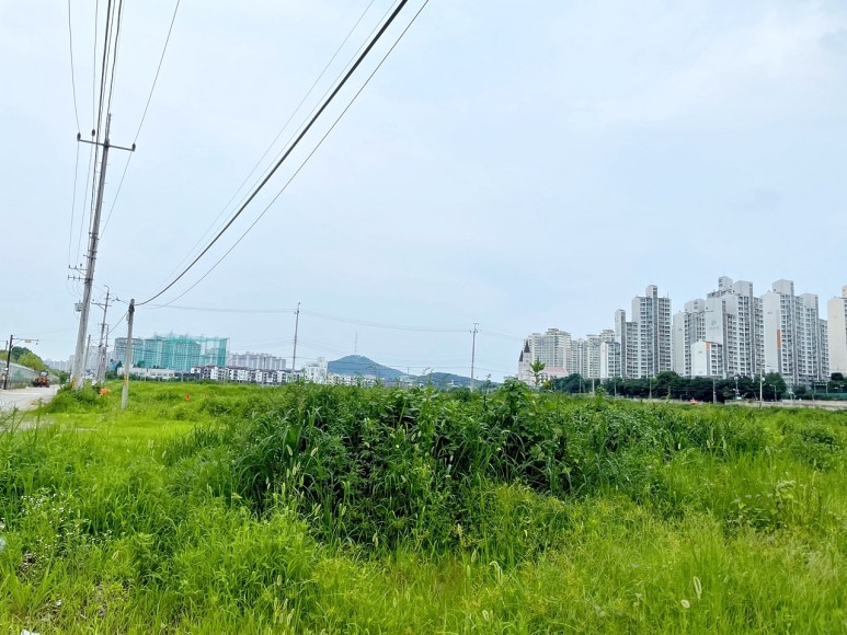 84제곱미터로 구성된 오피스텔 더샵 일산 엘로이 11