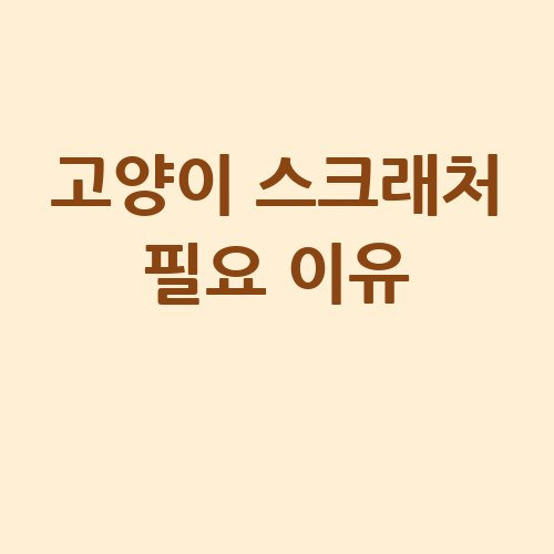 고양이 스크래처 필요 이유와 효과