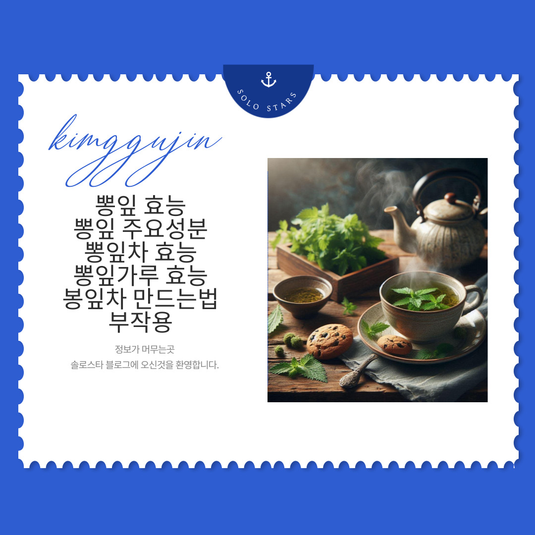 뽕잎차 관련 사진