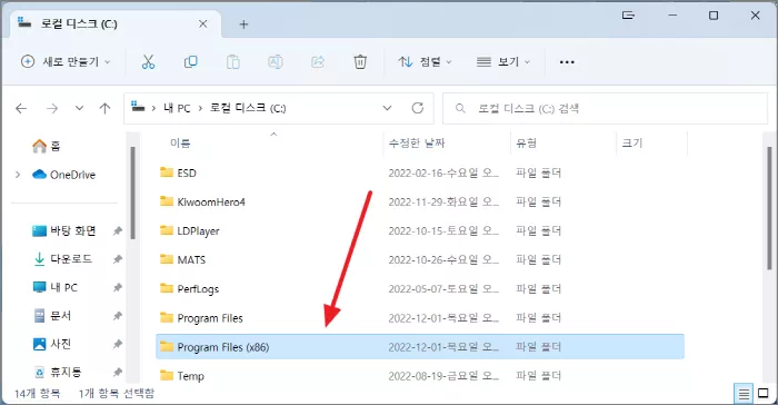 Program Files (x86) 폴더