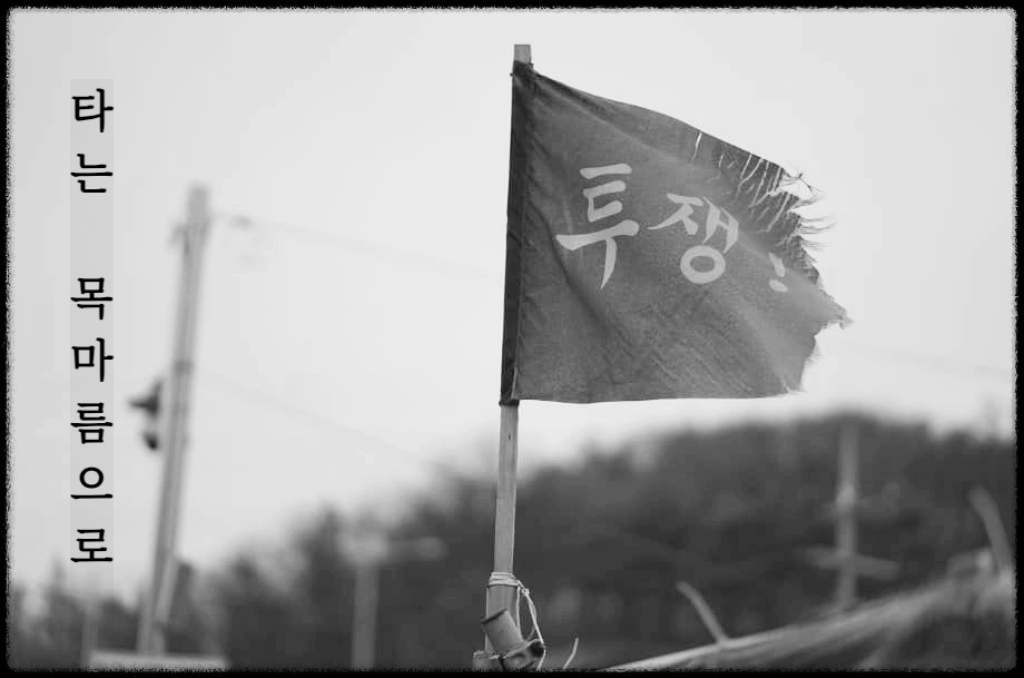  [시 감상]김지하 - 타는 목마름으로