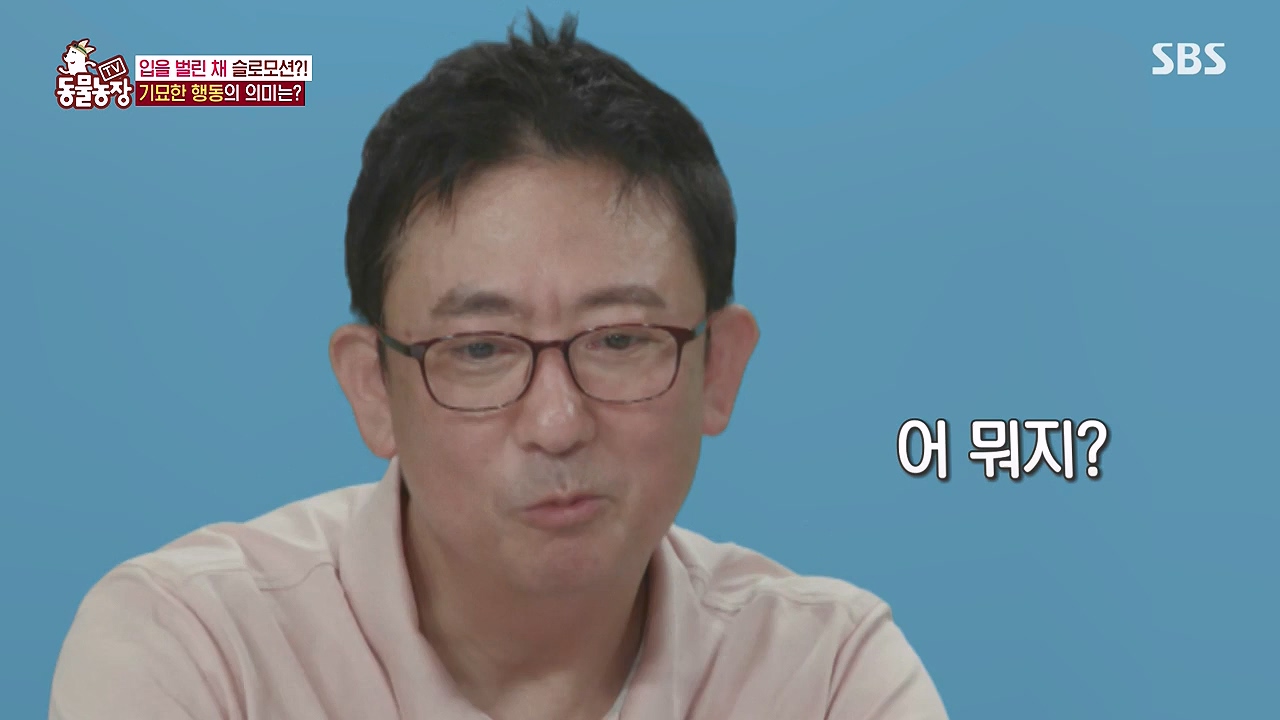 TV 동물농장.E1187.240902p-NEXT.mp4_20240901_155500.783.jpg