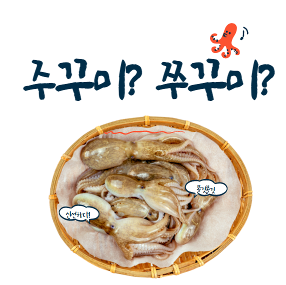  [맞춤법 바로알기] 주꾸미 쭈꾸미 올바른 표현은?
