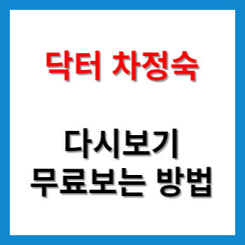 닥터 차정숙 다시보기