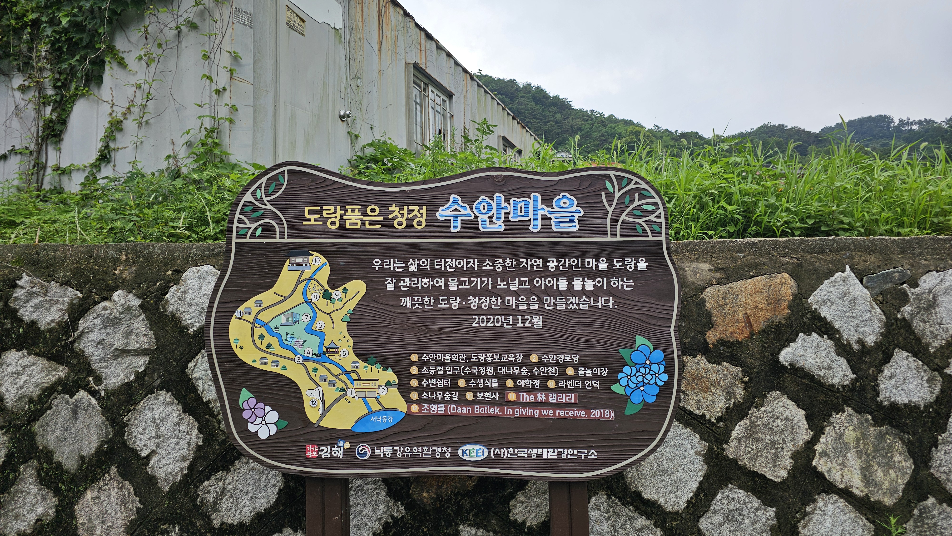 2024년 김해 수안마을 수국정원 수국축제 후기