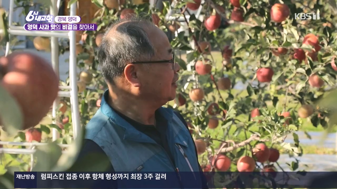 6시 내고향.E7907.231108p.H264-F1RST.mp4_20231108_204720.859.jpg