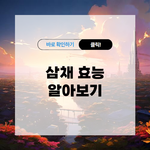 삼채 효능 알아보기