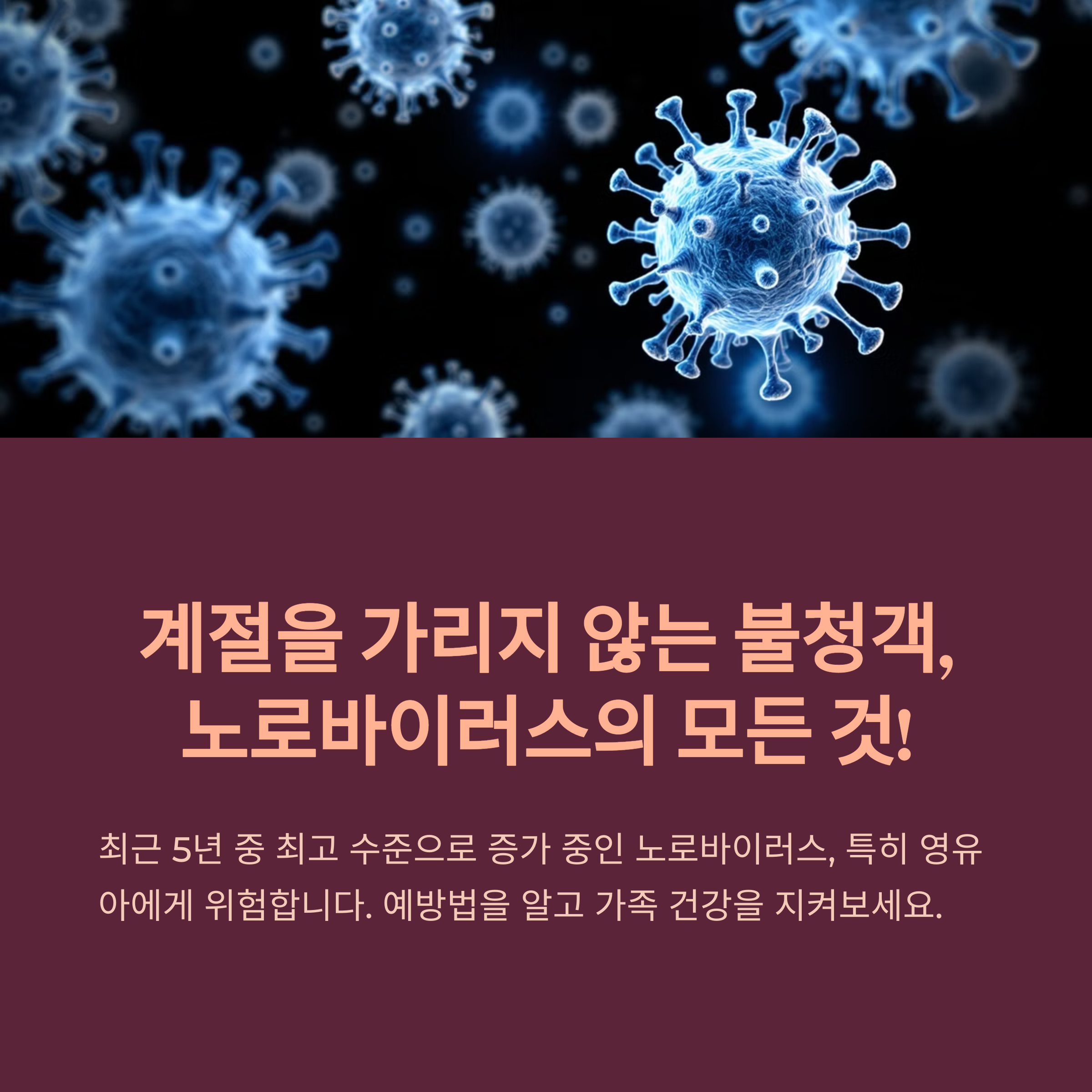 노로바이러스 예방법