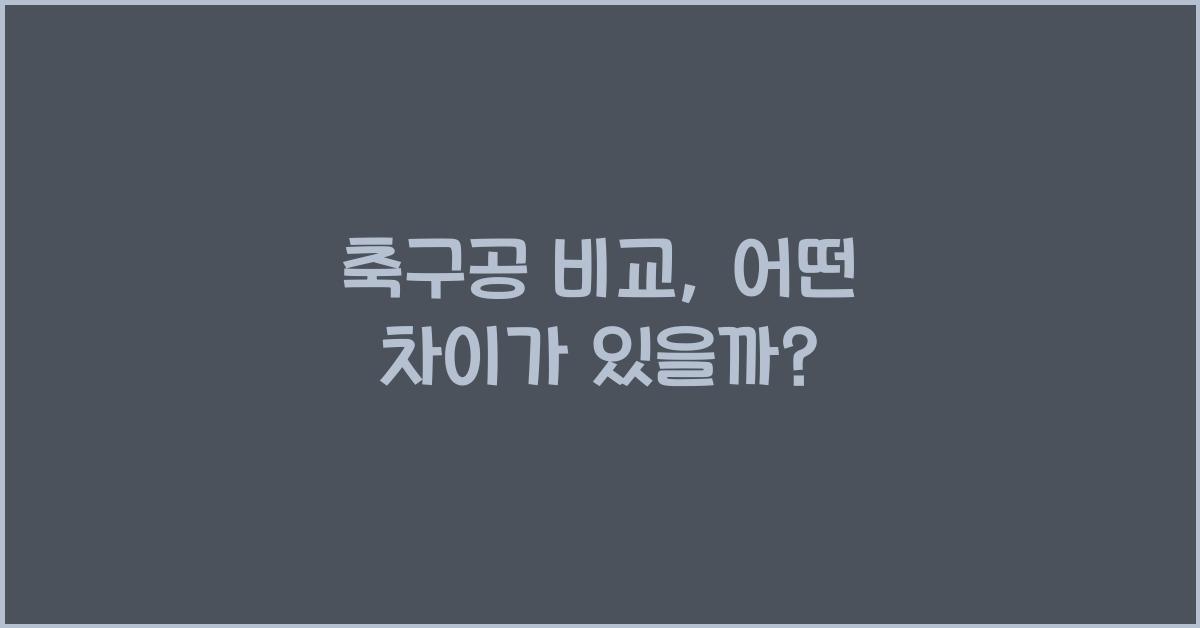 축구공 비교