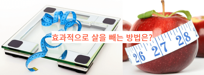  효과적으로 살을 뺄 수 있는 방법은 무엇이 있을까요?